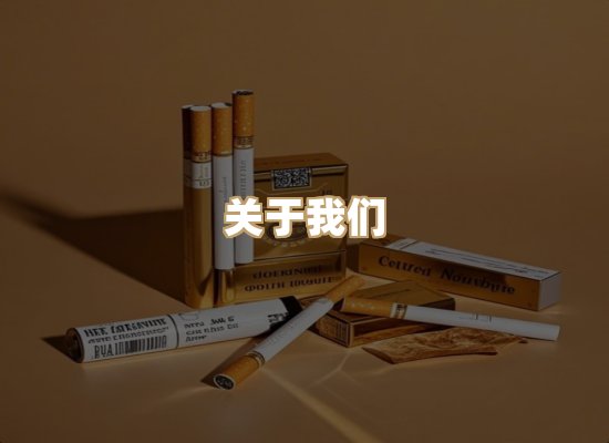 关于蓝帝网